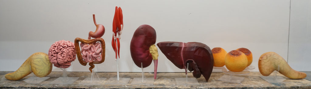 3D printed organs