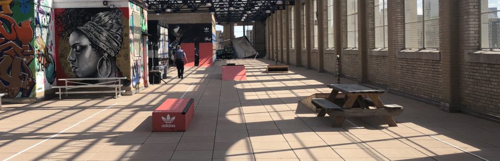 Adidas Go Skateboarding Day